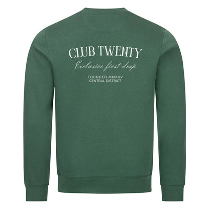 Image for color: varsity green